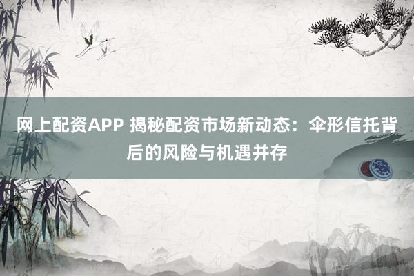 网上配资APP 揭秘配资市场新动态：伞形信托背后的风险与机遇并存