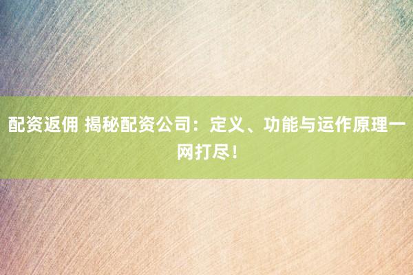配资返佣 揭秘配资公司：定义、功能与运作原理一网打尽！