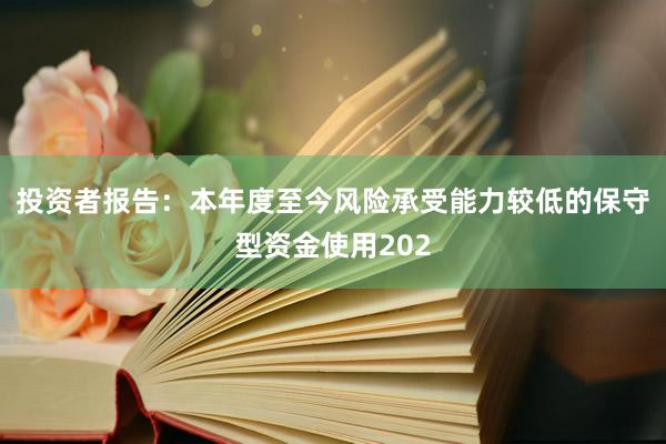 投资者报告：本年度至今风险承受能力较低的保守型资金使用202