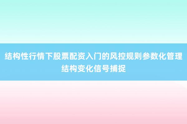 结构性行情下股票配资入门的风控规则参数化管理结构变化信号捕捉