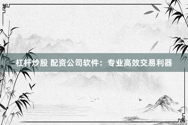 杠杆炒股 配资公司软件：专业高效交易利器